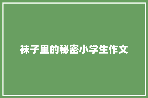 袜子里的秘密小学生作文