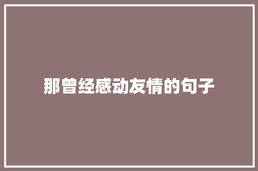 那曾经感动友情的句子