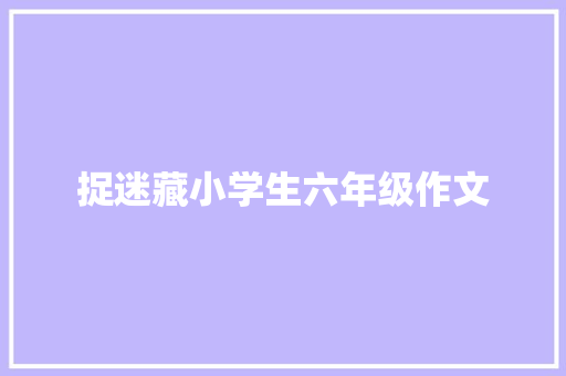 捉迷藏小学生六年级作文