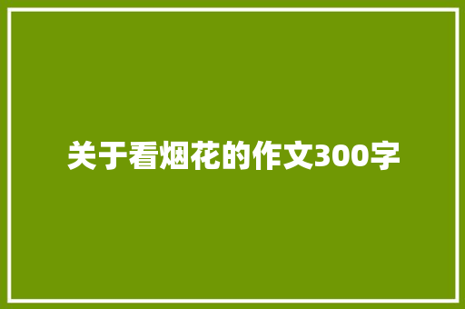 关于看烟花的作文300字