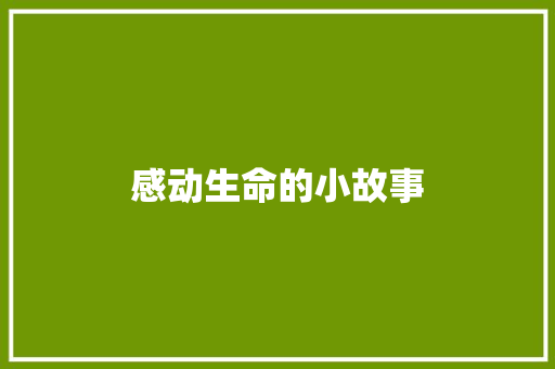 感动生命的小故事