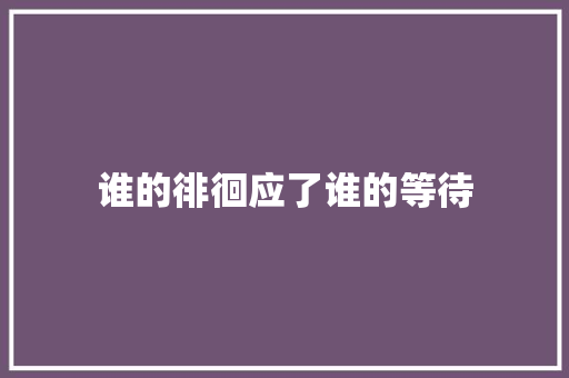 谁的徘徊应了谁的等待