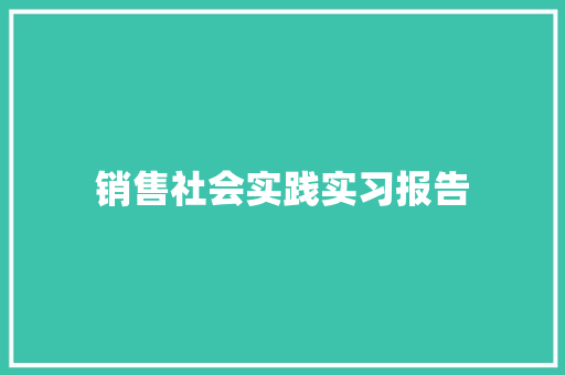 销售社会实践实习报告 论文范文