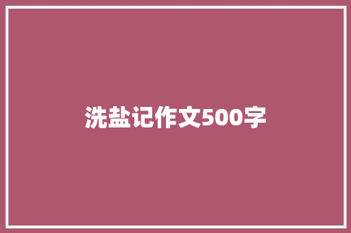 洗盐记作文500字