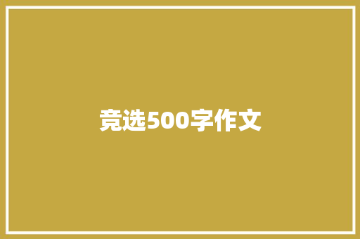 竞选500字作文