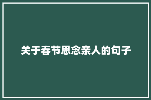 关于春节思念亲人的句子