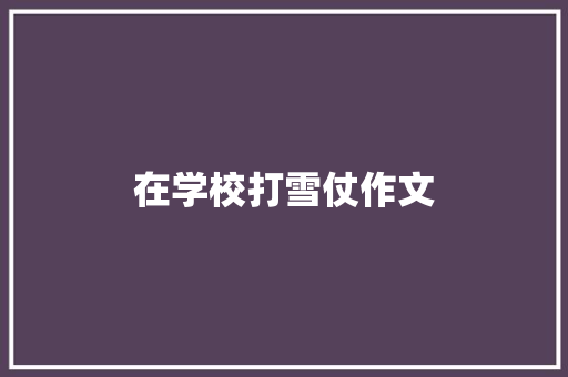 在学校打雪仗作文 会议纪要范文