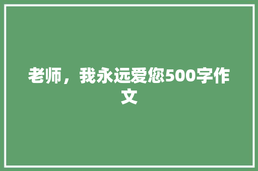 老师，我永远爱您500字作文