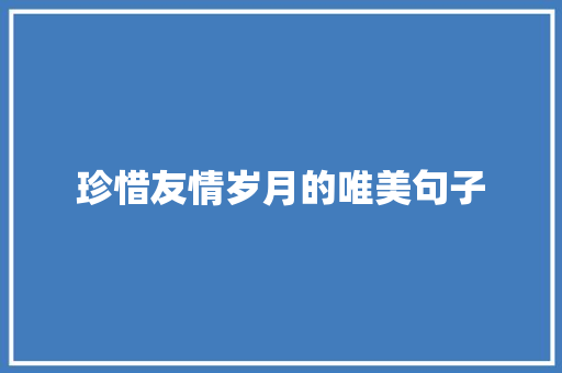 珍惜友情岁月的唯美句子 论文范文