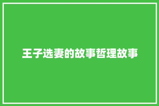 王子选妻的故事哲理故事