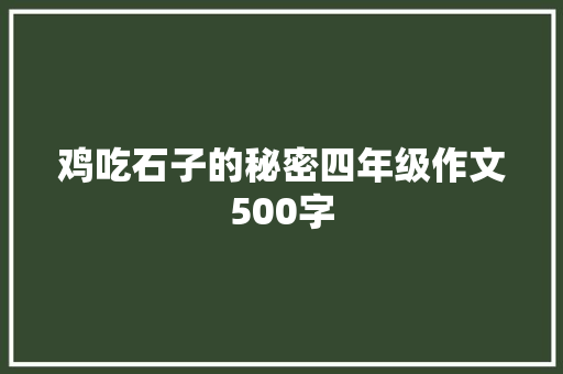 鸡吃石子的秘密四年级作文500字