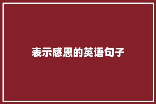 表示感恩的英语句子 会议纪要范文