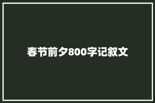 春节前夕800字记叙文