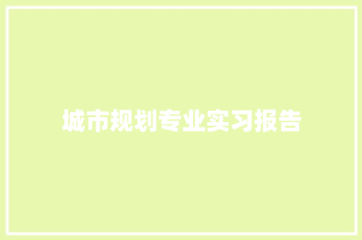 城市规划专业实习报告