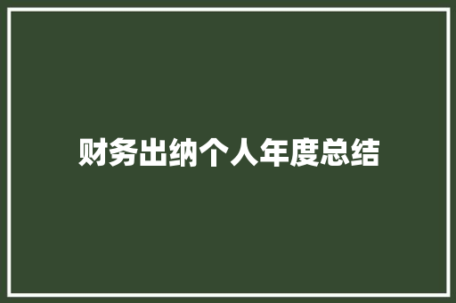 财务出纳个人年度总结