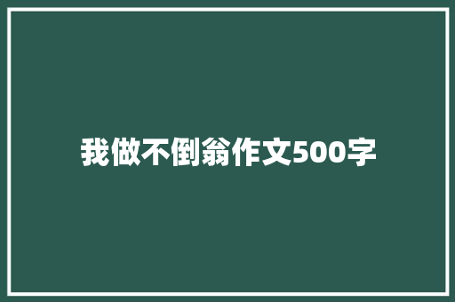 我做不倒翁作文500字