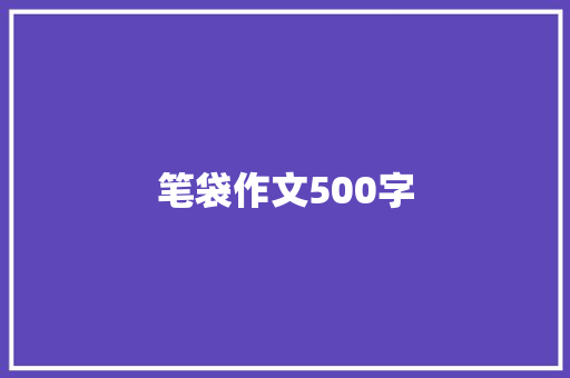 笔袋作文500字