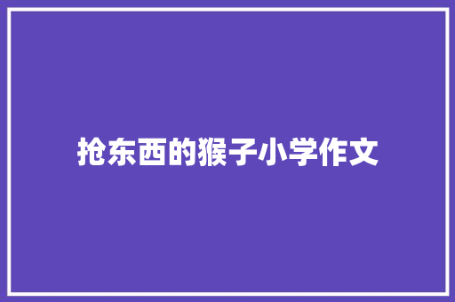 抢东西的猴子小学作文