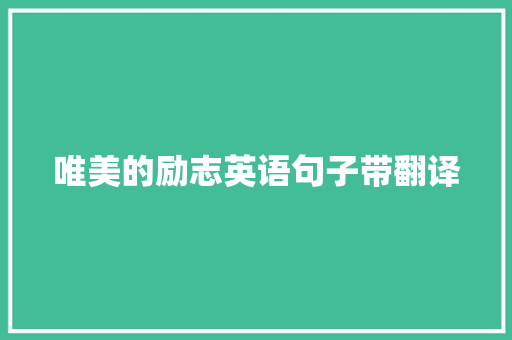 唯美的励志英语句子带翻译