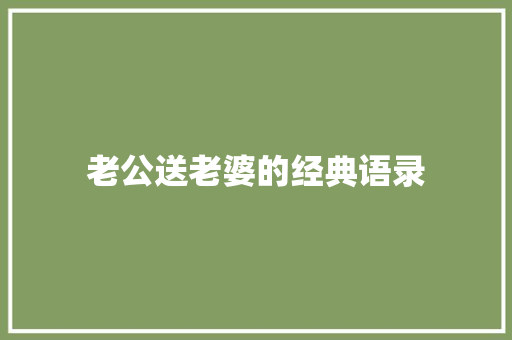 老公送老婆的经典语录 申请书范文