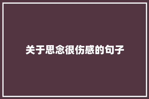 关于思念很伤感的句子 会议纪要范文