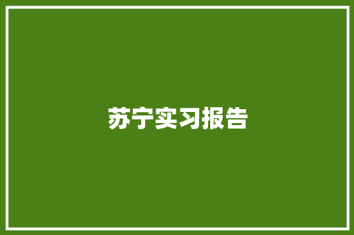 苏宁实习报告