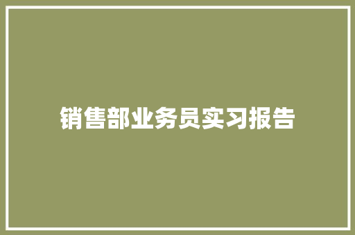 销售部业务员实习报告