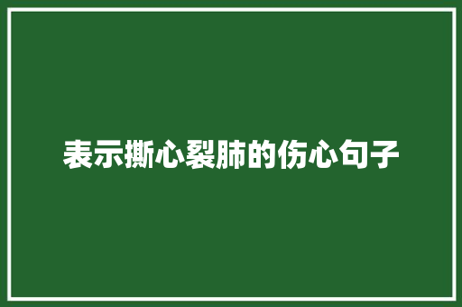 表示撕心裂肺的伤心句子