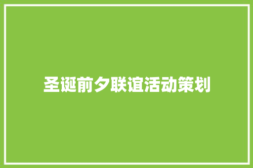 圣诞前夕联谊活动策划