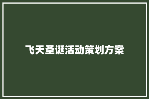 飞天圣诞活动策划方案