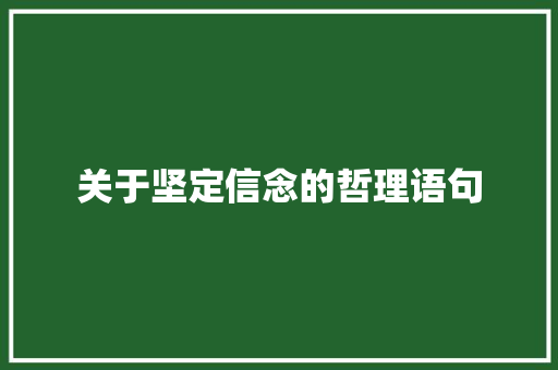 关于坚定信念的哲理语句