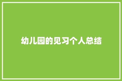 幼儿园的见习个人总结 书信范文