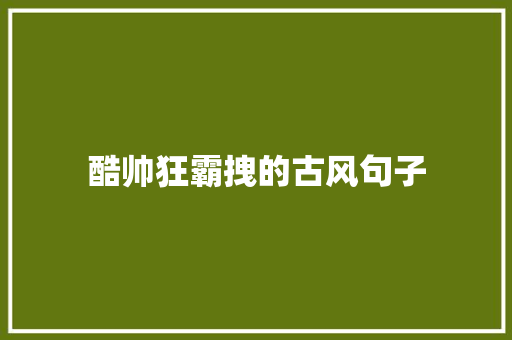 酷帅狂霸拽的古风句子