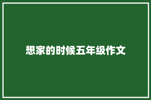 想家的时候五年级作文