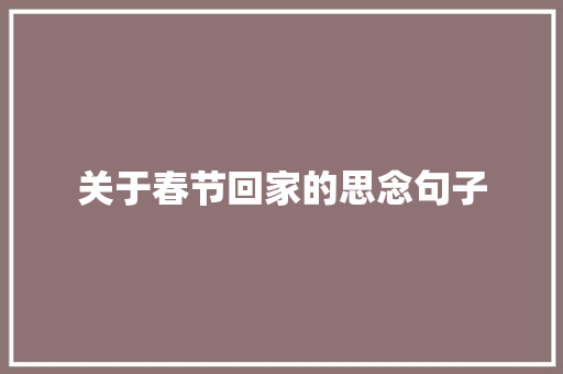 关于春节回家的思念句子