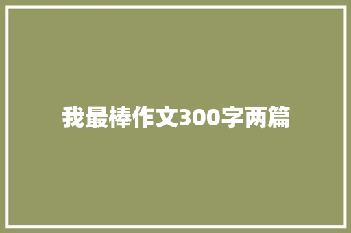 我最棒作文300字两篇