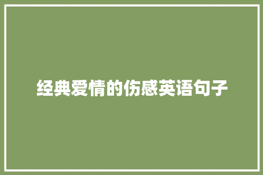 经典爱情的伤感英语句子