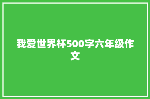 我爱世界杯500字六年级作文