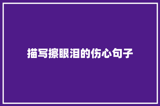 描写擦眼泪的伤心句子