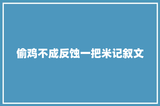 偷鸡不成反蚀一把米记叙文 会议纪要范文