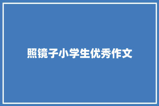 照镜子小学生优秀作文