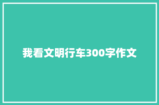 我看文明行车300字作文