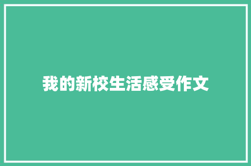 我的新校生活感受作文