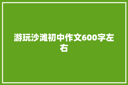 游玩沙滩初中作文600字左右