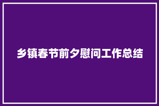 乡镇春节前夕慰问工作总结