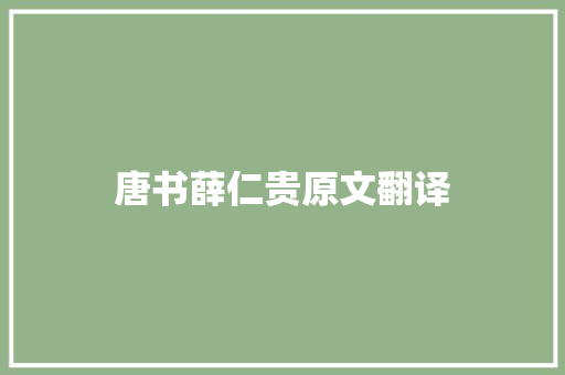 唐书薛仁贵原文翻译