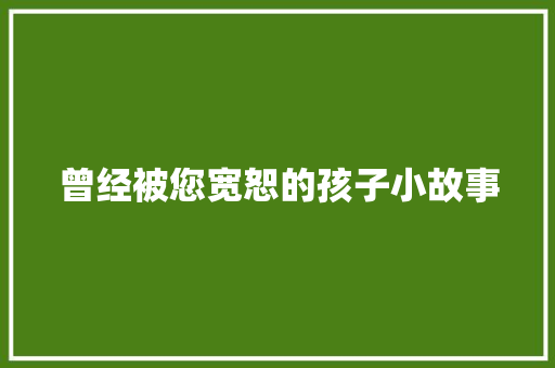 曾经被您宽恕的孩子小故事