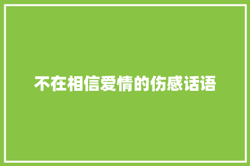 不在相信爱情的伤感话语 工作总结范文