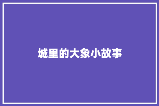 城里的大象小故事