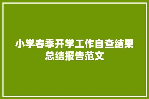 小学春季开学工作自查结果总结报告范文 学术范文